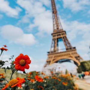Your eiffel and flowers