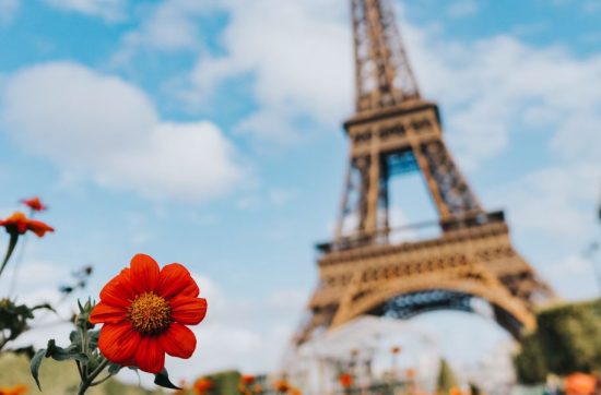 Your eiffel and flowers
